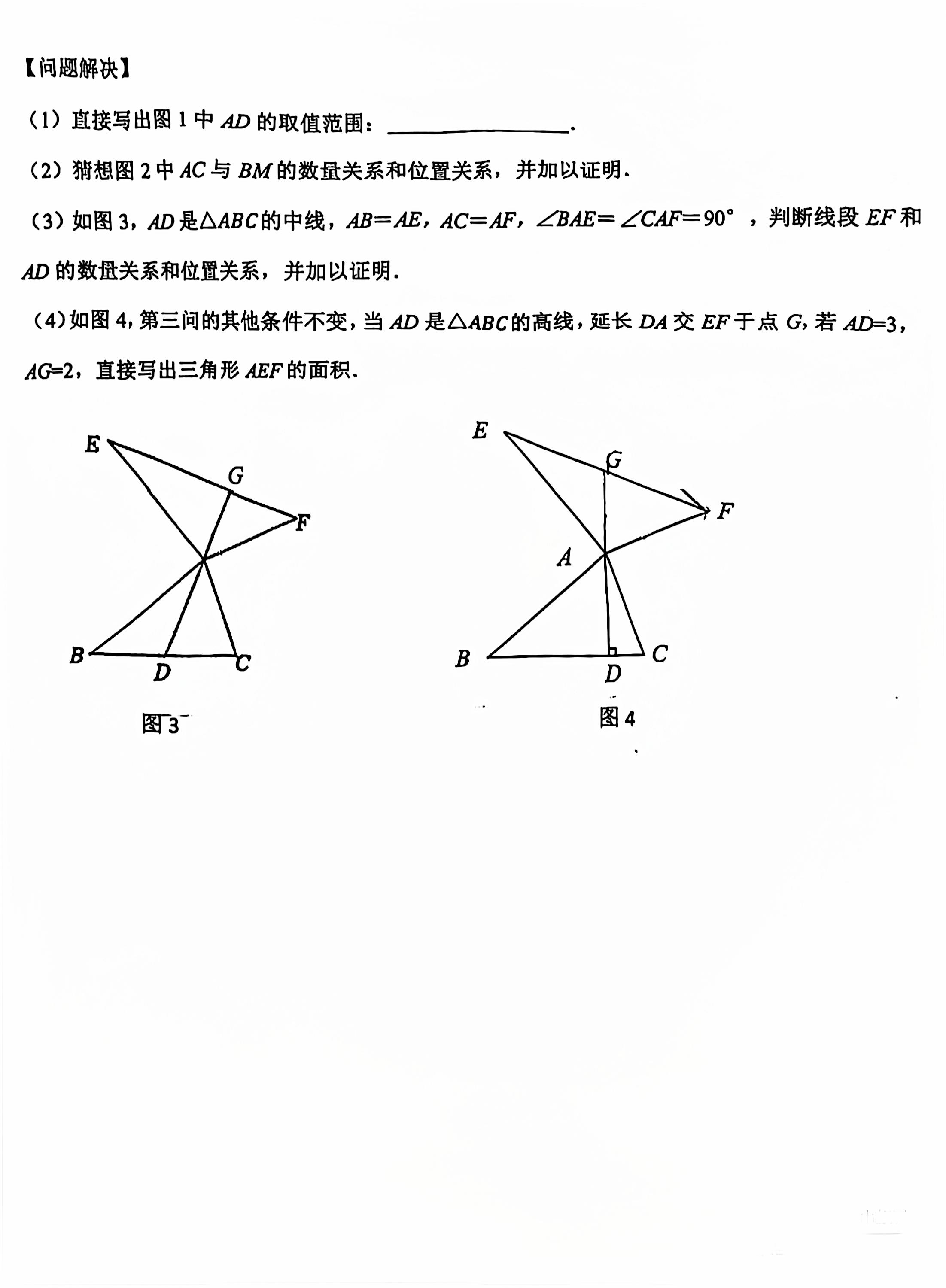 2024-2025学年河北省石家庄市41中八年级上期中数学试卷(人教版)无答案！